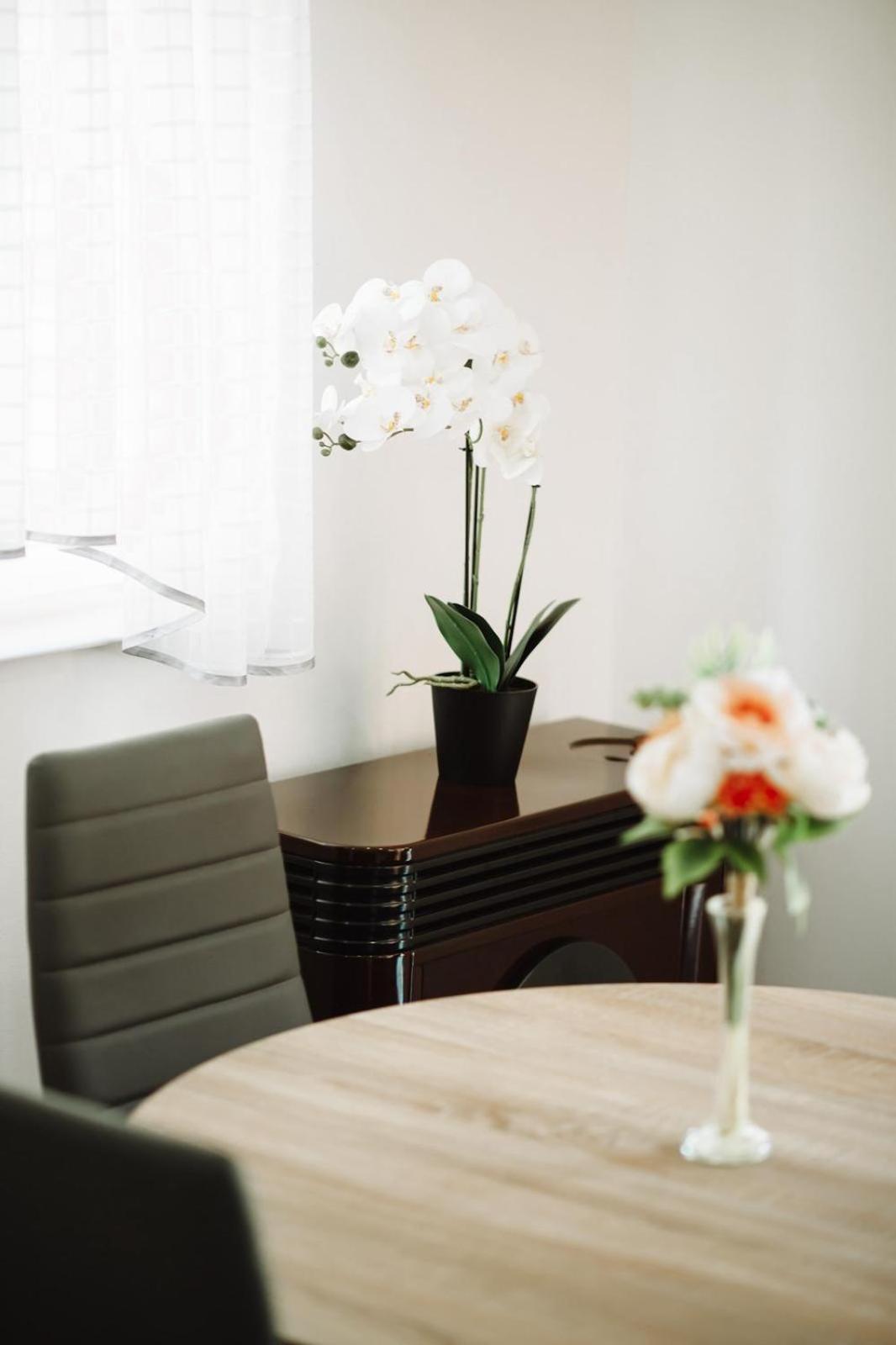 Apartman Sunny Hills Krapina Luaran gambar
